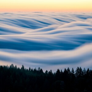 Wavy clouds flow over a forest at sunset.